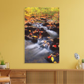 米国，ペンシルバニア州，ポコノ山脈2 キャンバスプリント (インサイチュ (リビング))