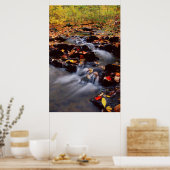 米国,ペンシルバニア州,ポコノ山脈2 ポスター (キッチン)