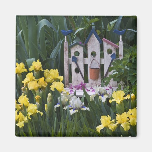 米国、ペンシルバニア州。庭の虹彩が成長すのまわりにる マグネット (正面)