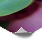 米国、ペンシルバニア州。花芽開花春 ポスター (角)
