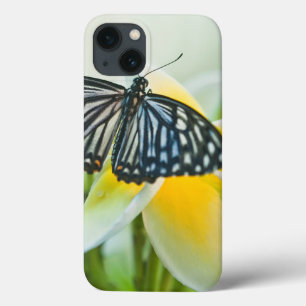 米国、ペンシルバニア。 アゲハチョウの蝶 iPhone 13ケース