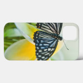 米国、ペンシルバニア。 アゲハチョウの蝶 Case-Mate iPhoneケース (裏面 (横))