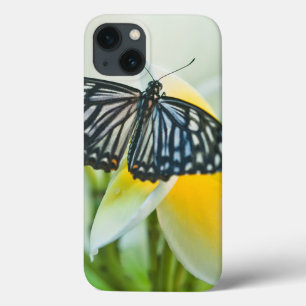 米国、ペンシルバニア。 アゲハチョウの蝶 iPhone 13ケース
