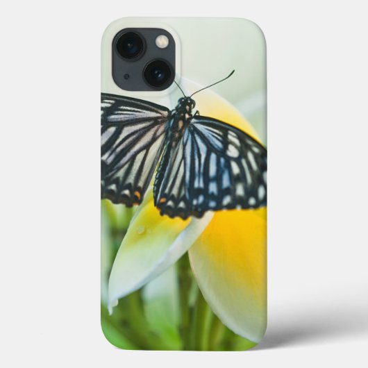 米国、ペンシルバニア。 アゲハチョウの蝶 Case-Mate iPhoneケース (裏面)