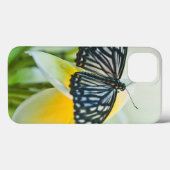 米国、ペンシルバニア。 アゲハチョウの蝶 Case-Mate iPhoneケース (裏面 (横))
