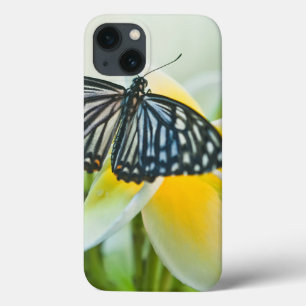 米国、ペンシルバニア。 アゲハチョウの蝶 iPhone 13ケース