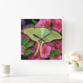 米国、ペンシルバニア。 ピンクのクレマチスのルナガ スクエア壁時計 (ホーム)