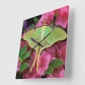 米国、ペンシルバニア。 ピンクのクレマチスのルナガ スクエア壁時計 (傾斜)