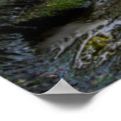 米国、ペンシルバニア、ベントン、リケッツグレン州 ポスター (角)