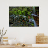 米国、ペンシルバニア、ベントン、リケッツグレン州 ポスター (キッチン)