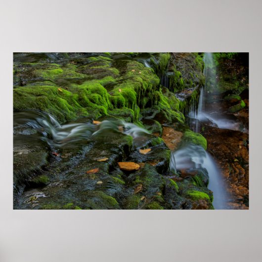 米国、ペンシルバニア、ベントン、リケッツグレン州 ポスター (正面)