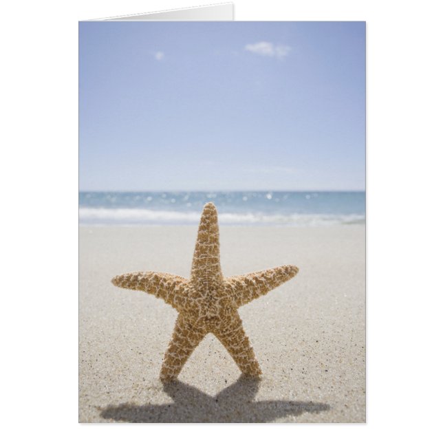 米国、マサチューセッツのケープコッド、Nantucketの終わり (正面)