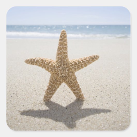 米国、マサチューセッツのケープコッド、Nantucketの終わり スクエアシール (正面)