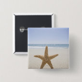 米国、マサチューセッツのケープコッド、Nantucketの終わり 缶バッジ (正面&裏面)