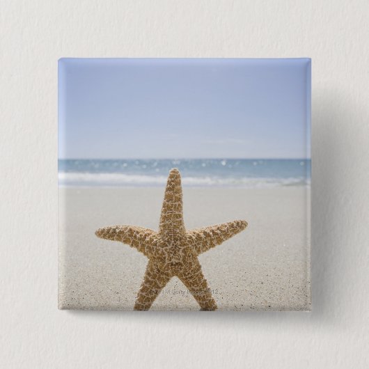 米国、マサチューセッツのケープコッド、Nantucketの終わり 缶バッジ (正面)