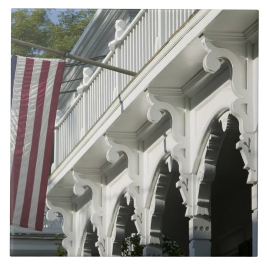 米国、マサチューセッツのマーサのブドウ園: タイル (正面)