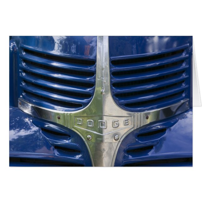 米国、マサチューセッツのマーサのブドウ園: 西の2 (正面横)