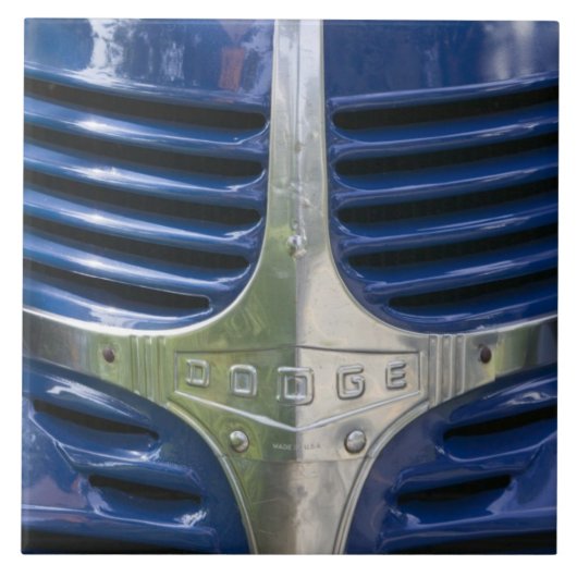 米国、マサチューセッツのマーサのブドウ園: 西の2 タイル (正面)