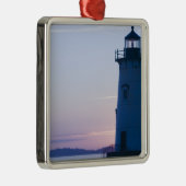 米国、マサチューセッツのマーサのブドウ園: 2 メタルオーナメント (右)