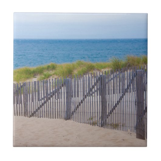 米国、マサチューセッツ州砂丘と道 タイル (正面)