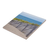 米国、マサチューセッツ州砂丘と道 タイル (側面)