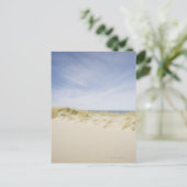 米国、マサチューセッツ州、ケープコッド州、ナンタケット州、サンディ ポストカード (スタンド正面)