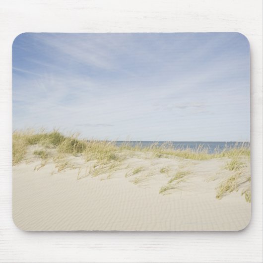 米国、マサチューセッツ州、ケープコッド州、ナンタケット州、サンディ マウスパッド (正面)