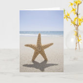 米国、マサチューセッツ州、ケープコッド、ナンタケット、クローズ カード (黄色い花)