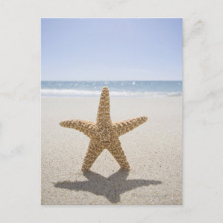 米国、マサチューセッツ州、ケープコッド、ナンタケット、クローズ ポストカード