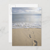 米国、マサチューセッツ州、ケープコッド、足跡 ポストカード (正面/裏面)