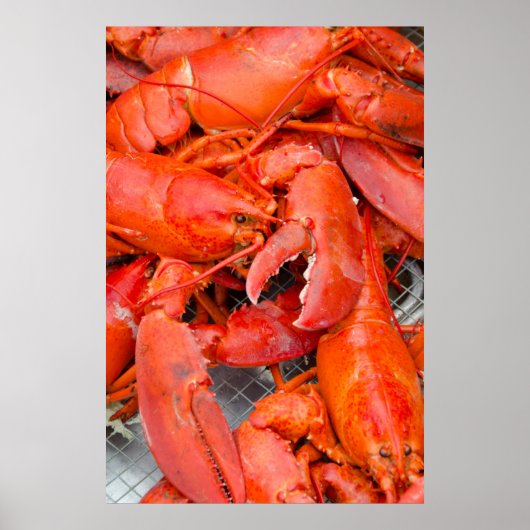 米国、マサチューセッツ州、マーサのブドウ園 ポスター (正面)