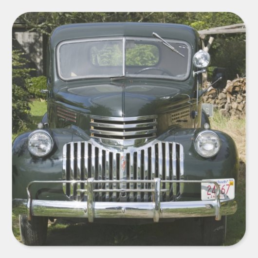 米国，マサチューセッツ州，マーサのブドウ園：西4 スクエアシール (正面)