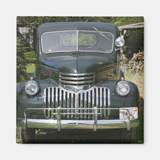 米国,マサチューセッツ州,マーサのブドウ園:西4 マグネット (正面)