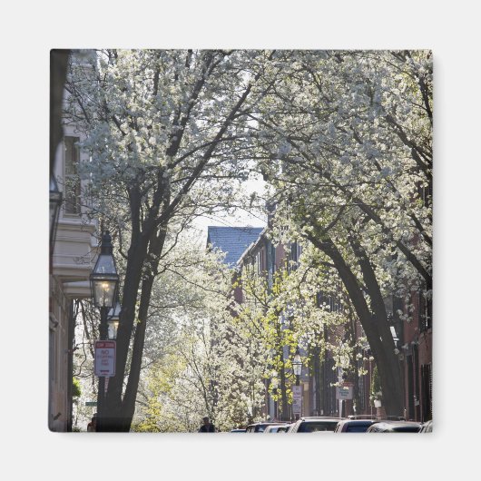 米国、マサチューセッツ、ボストン、ビーコン・ヒル。 マグネット (正面)