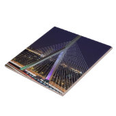 米国、マサチューセッツ、ボストン。レナードザキム タイル (側面)