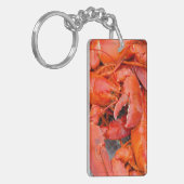 米国、マーサチューセッツ、マーサズ·ヴィネヤード キーホルダー (正面左)