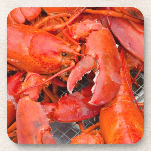 米国、マーサチューセッツ、マーサズ·ヴィネヤード コースター (正面)