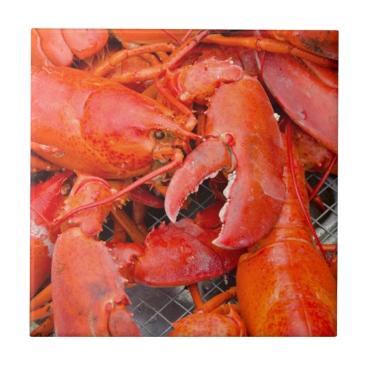 米国、マーサチューセッツ、マーサズ·ヴィネヤード タイル (正面)