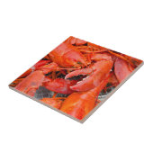 米国、マーサチューセッツ、マーサズ·ヴィネヤード タイル (側面)