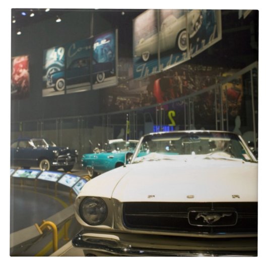 米国、ミシガン州、デトロイト: フォードの弁柄の工場旅行、 タイル (正面)