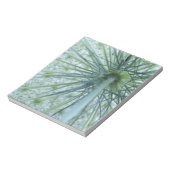 米国、ミシガン。クイーンアンのレースを見た ノートパッド (回転)