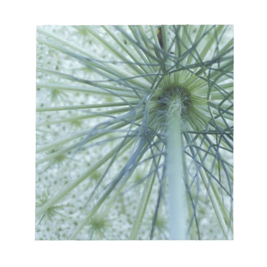 米国、ミシガン。クイーンアンのレースを見た ノートパッド (正面)