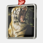 米国、ミシガン、デトロイト。デトロイト動物園,タイガー2 メタルオーナメント (左)