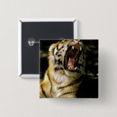 米国、ミシガン、デトロイト。デトロイト動物園，タイガー2 缶バッジ (正面&裏面)