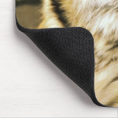 米国、ミシガン、デトロイト。デトロイト動物園，タイガー3 マウスパッド