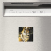 米国、ミシガン、デトロイト。デトロイト動物園，タイガー3 マグネット (インサイチュ (食洗機))