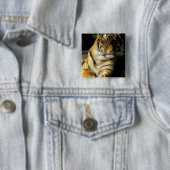 米国、ミシガン、デトロイト。デトロイト動物園，タイガー3 缶バッジ (インサイチュ)