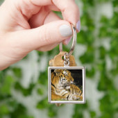 米国、ミシガン、デトロイト。デトロイト動物園、タイガー キーホルダー (手)