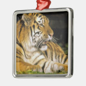 米国、ミシガン、デトロイト。デトロイト動物園、タイガー メタルオーナメント (左)