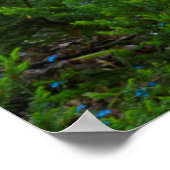 米国、ミシガン。森を抜ける道 ポスター (角)